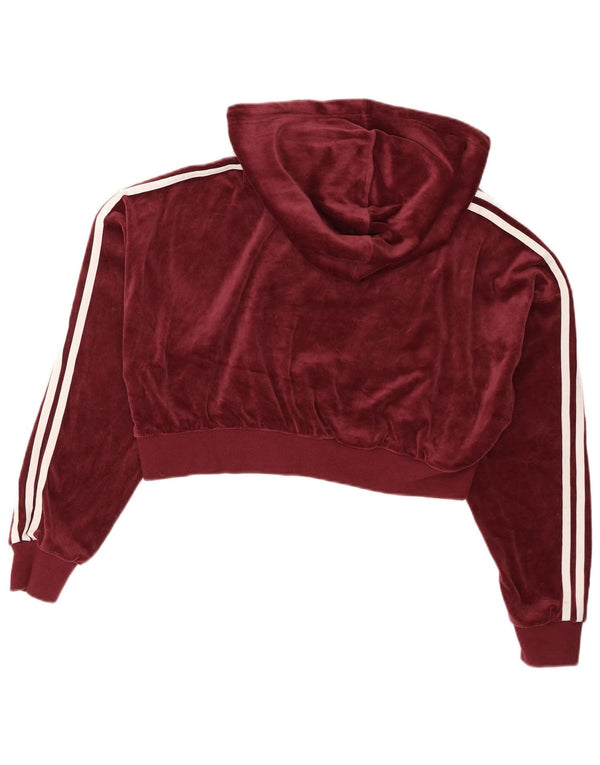 Maglione con cappuccio in velluto corto oversize da donna Adidas UK 8 piccolo bordeaux