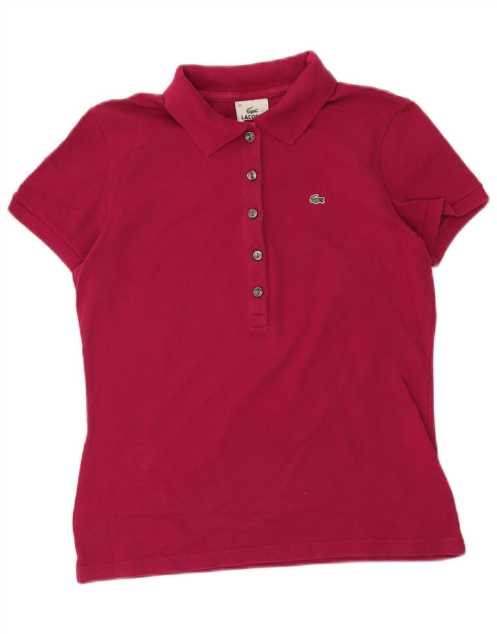 Polo da donna Lacoste taglia 42 grande in cotone bordeaux