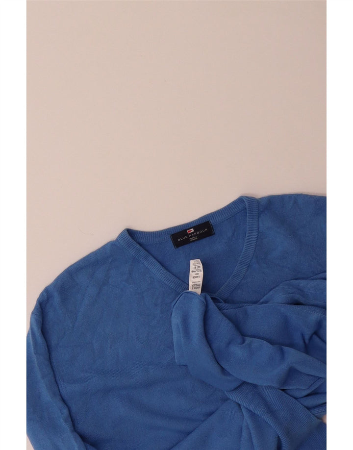 BLUE HARBOUR Mens V-Neck Jumper Sweater XL Blue Acrylic Vintage Blue Harbour and Second-Hand Blue Harbour from Messina Hembry 
