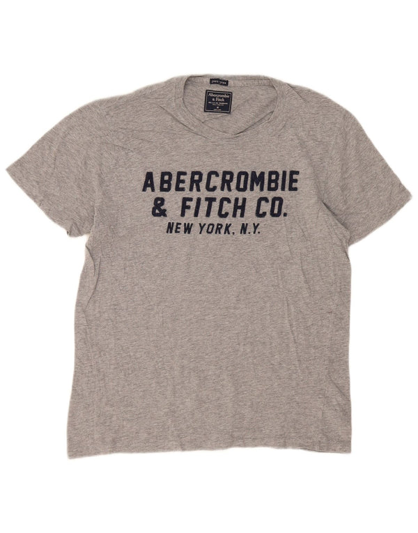T-shirt grafica da uomo Abercrombie & Fitch in cotone mélange grigio medio