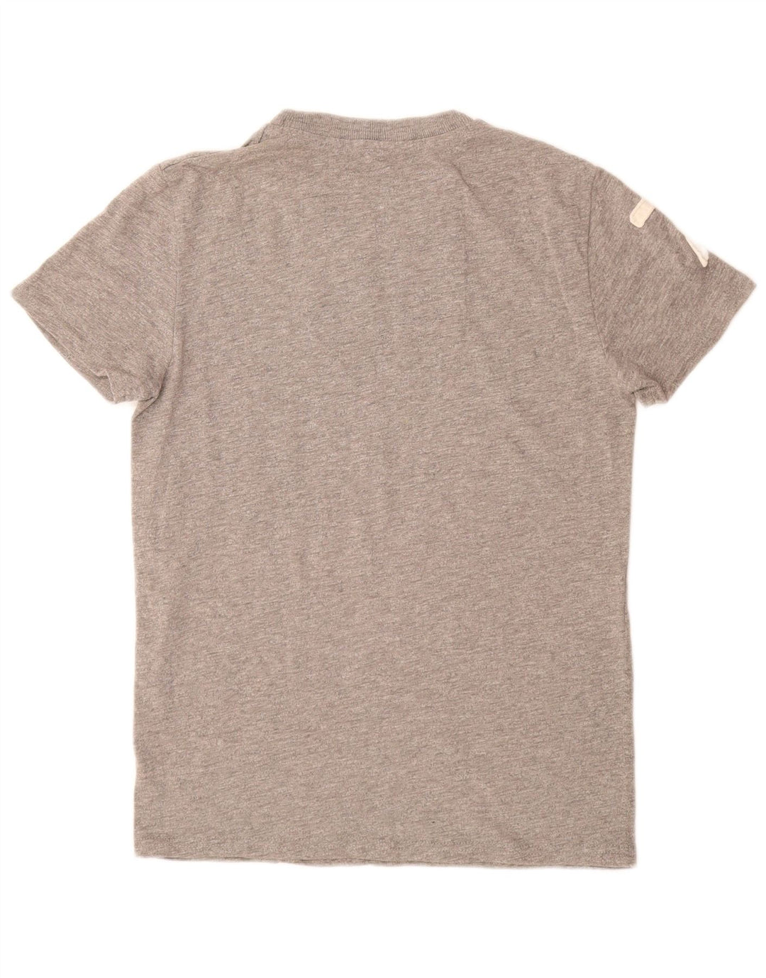 T-shirt grafica da uomo SUPERDRY Top in cotone grigio medio
