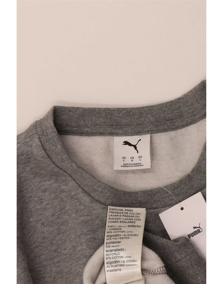 Felpa grafica da uomo Puma Maglione grande in cotone grigio