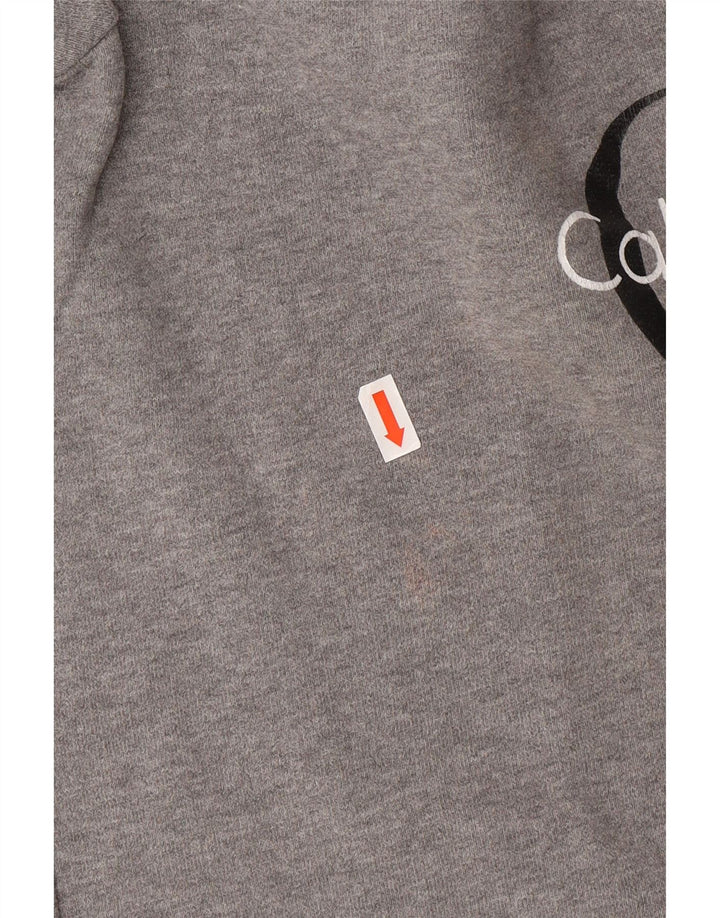 CALVIN KLEIN JEANS Mens Graphic Sweatshirt Jumper Small Grey