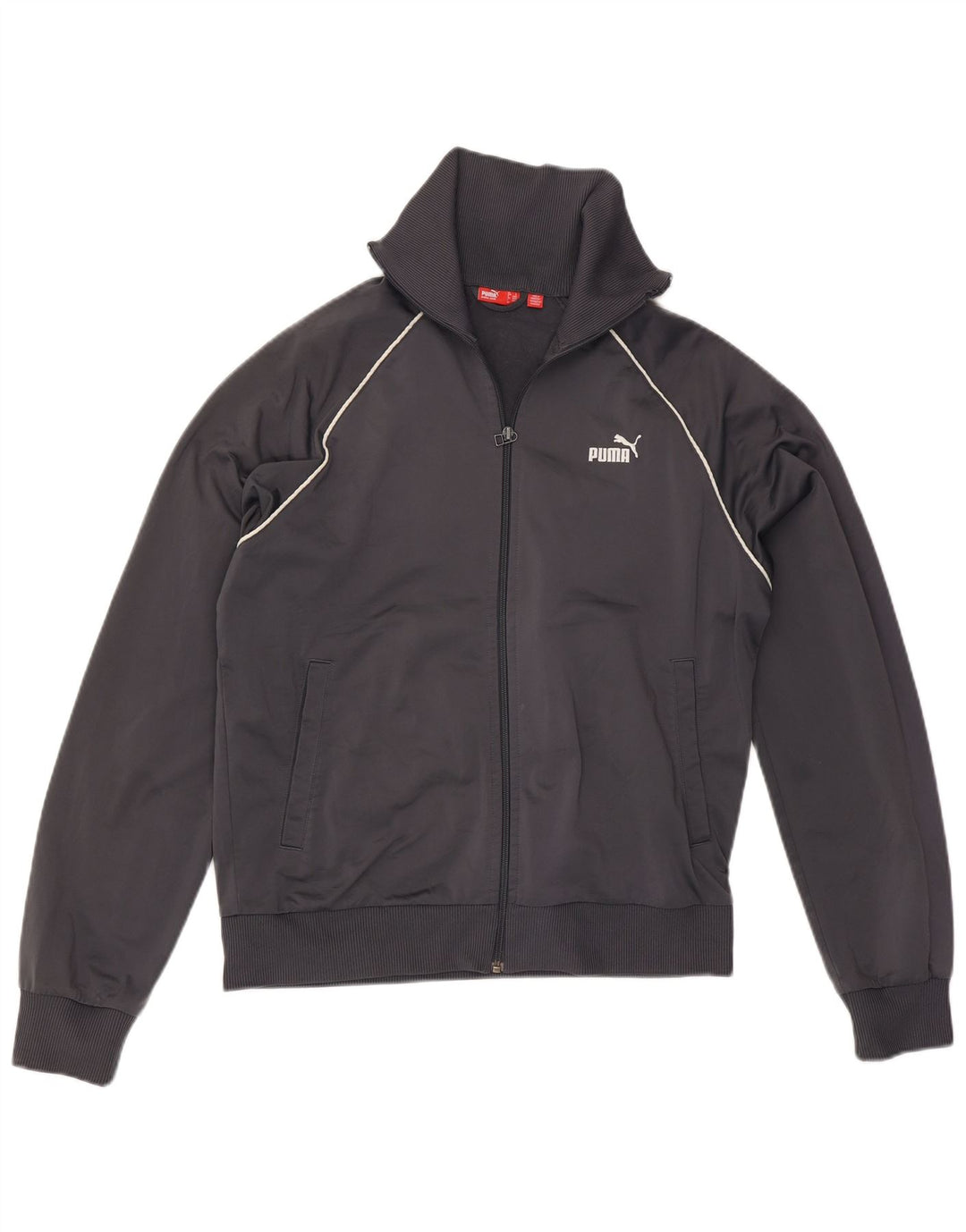 Giacca da tuta da uomo Puma Large Grigia