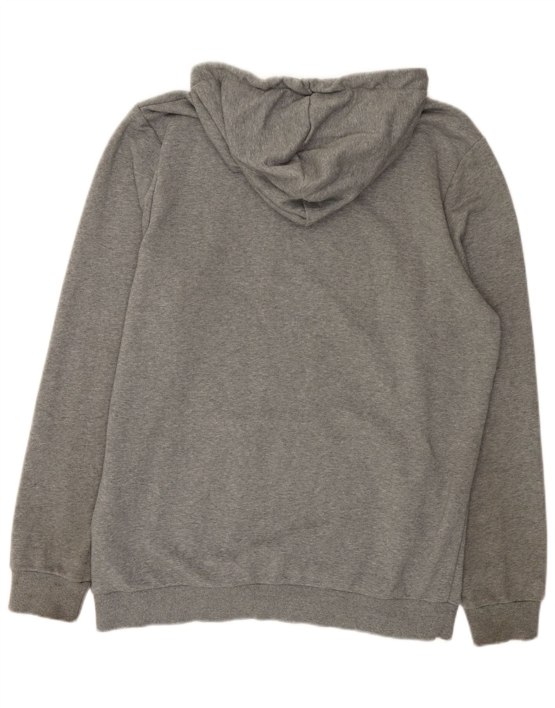 Felpa con cappuccio grafica da uomo Puma Large in cotone grigio