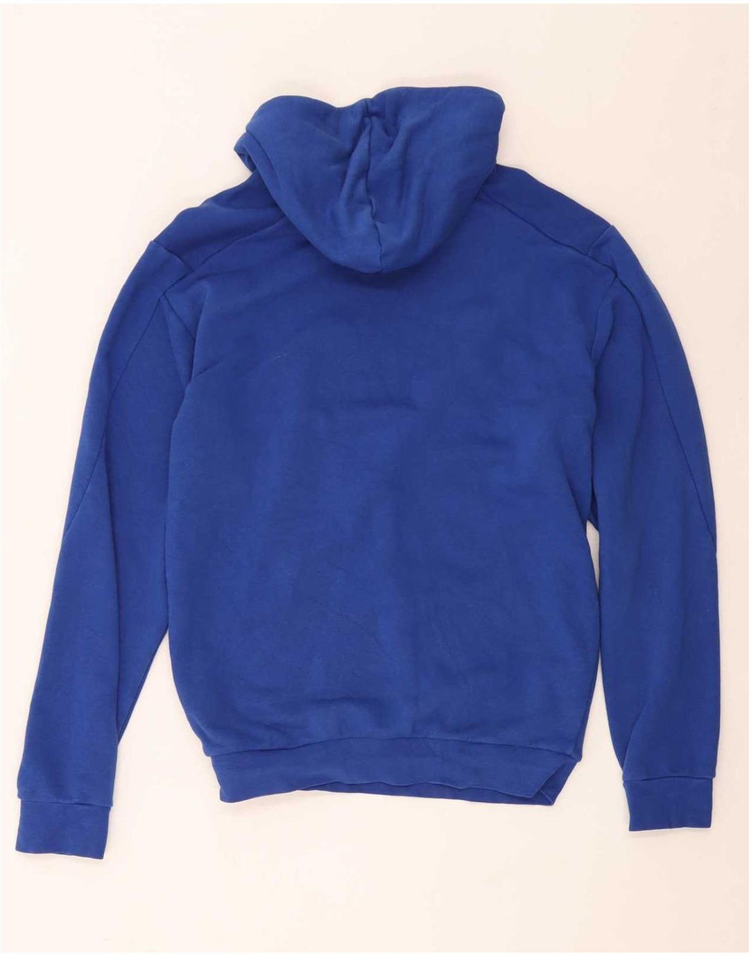 Felpa con cappuccio grafica Adidas da uomo blu medio