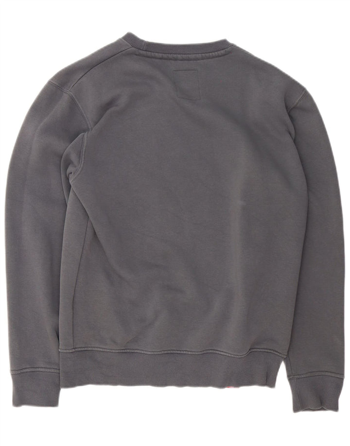 Felpa grafica da uomo Alpha Industries, piccola, in cotone grigio