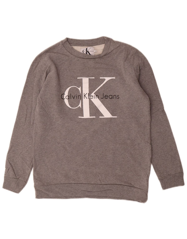 CALVIN KLEIN JEANS Felpa con grafica da uomo Maglione piccolo in cotone grigio