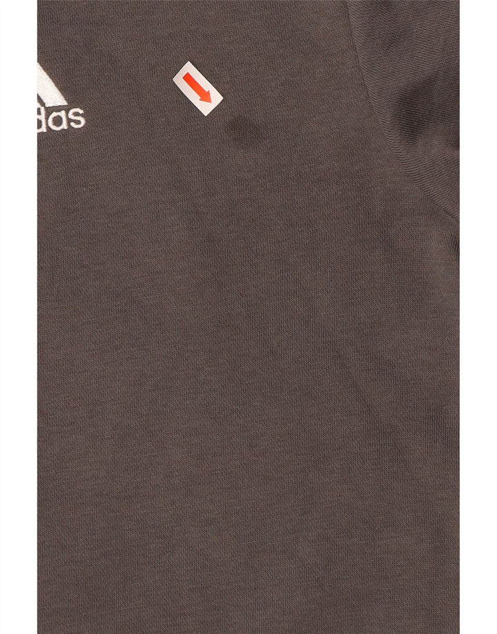 Felpa da uomo Adidas Maglione piccolo grigio