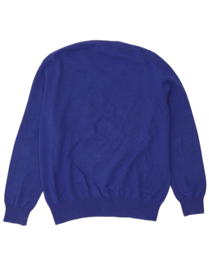 Polo Ralph Lauren Maglione da uomo con scollo a V grande blu