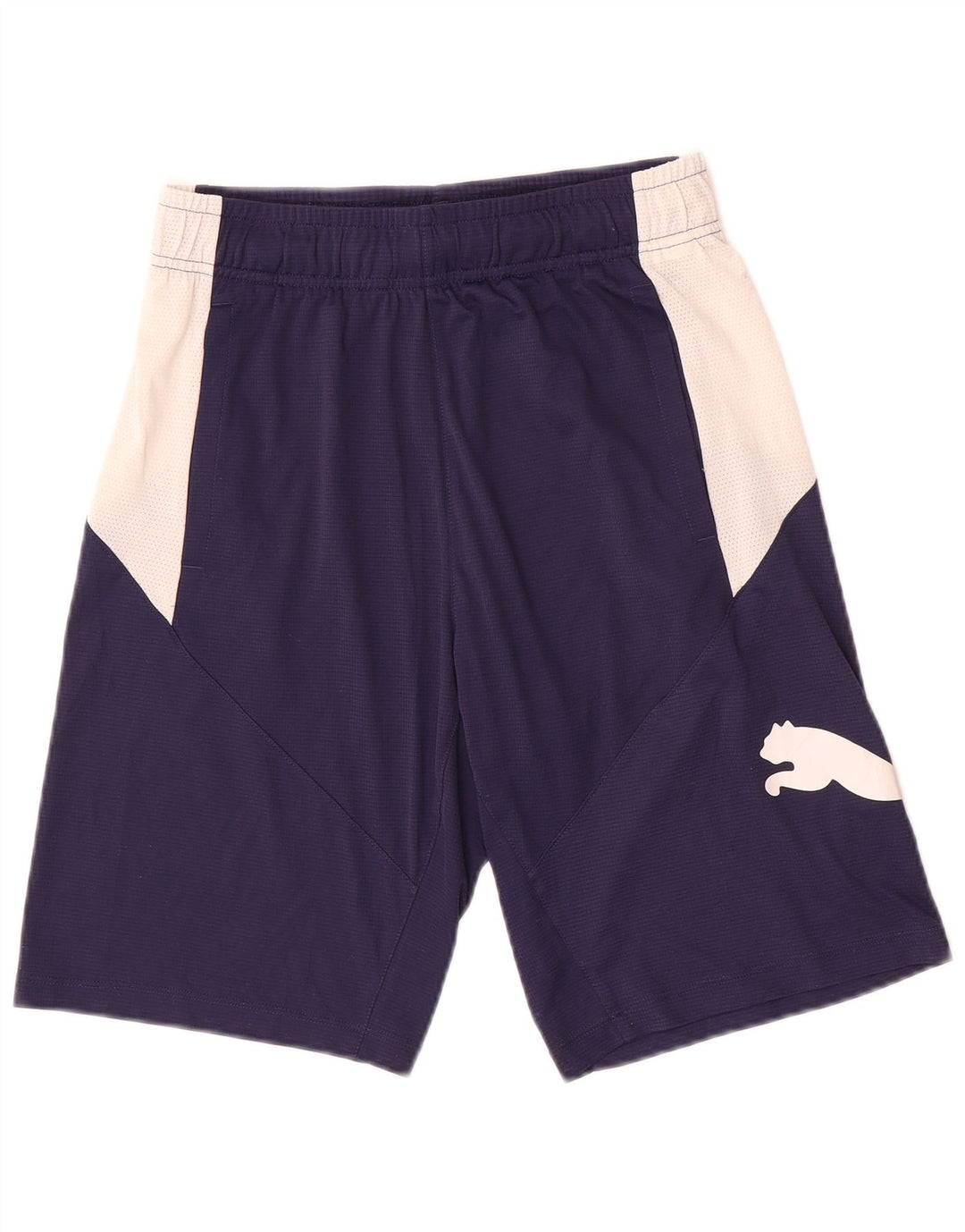 Pantaloncini sportivi grafici da uomo Puma Small blu navy color block