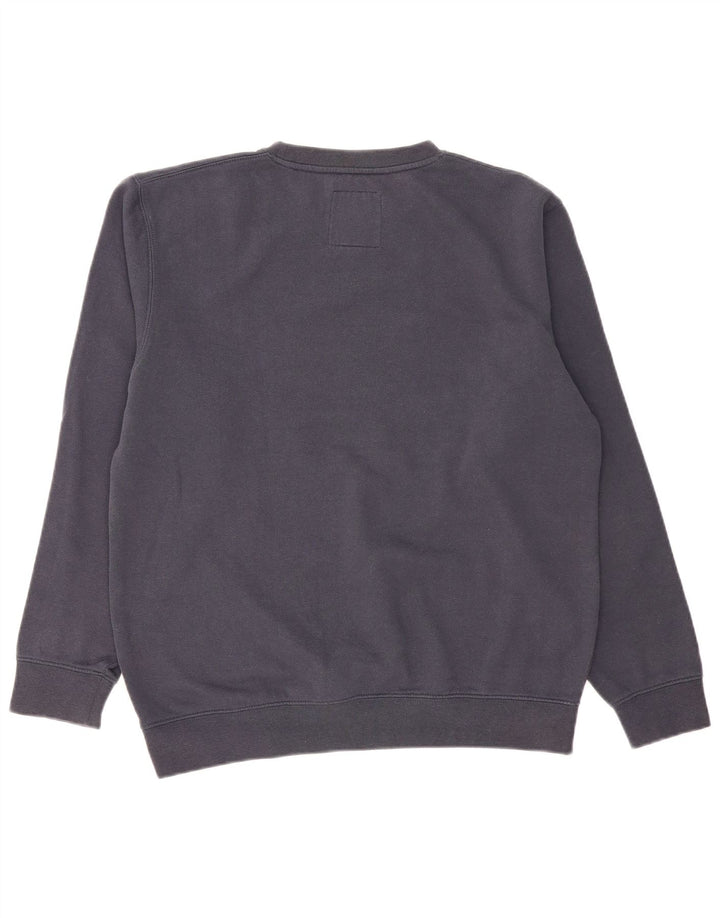 VANS Mens Loose Fit Graphic Sweatshirt Jumper Small Navy Blue