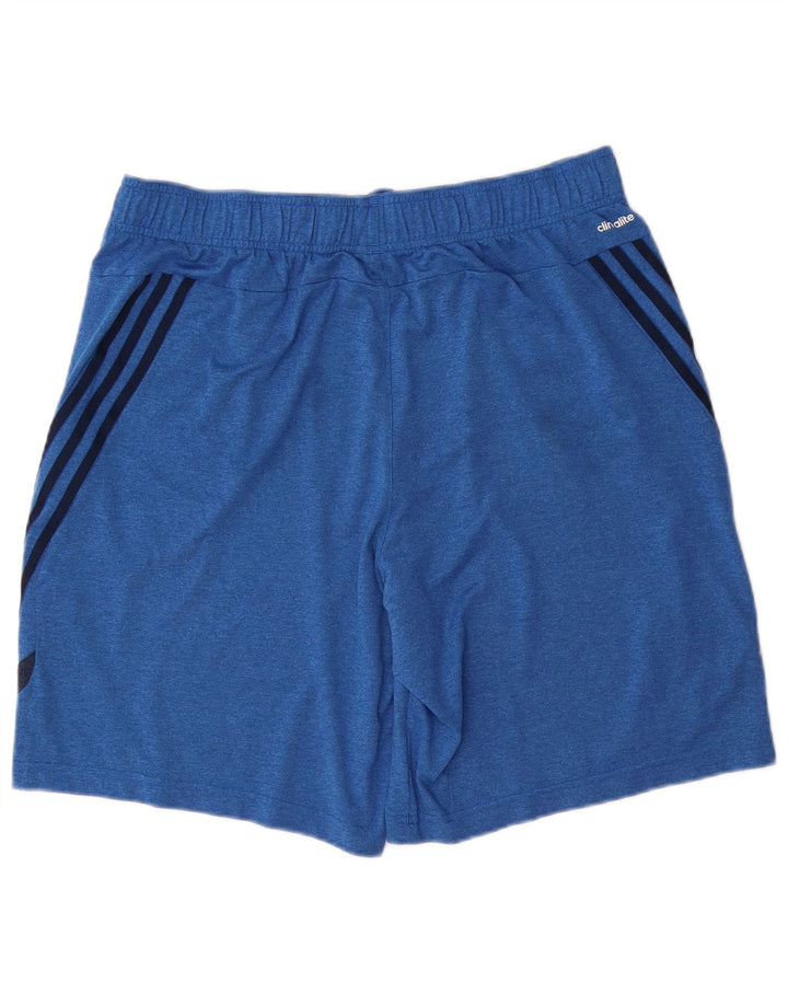 ADIDAS Mens Climalite Sport Shorts Large  Blue Polyester