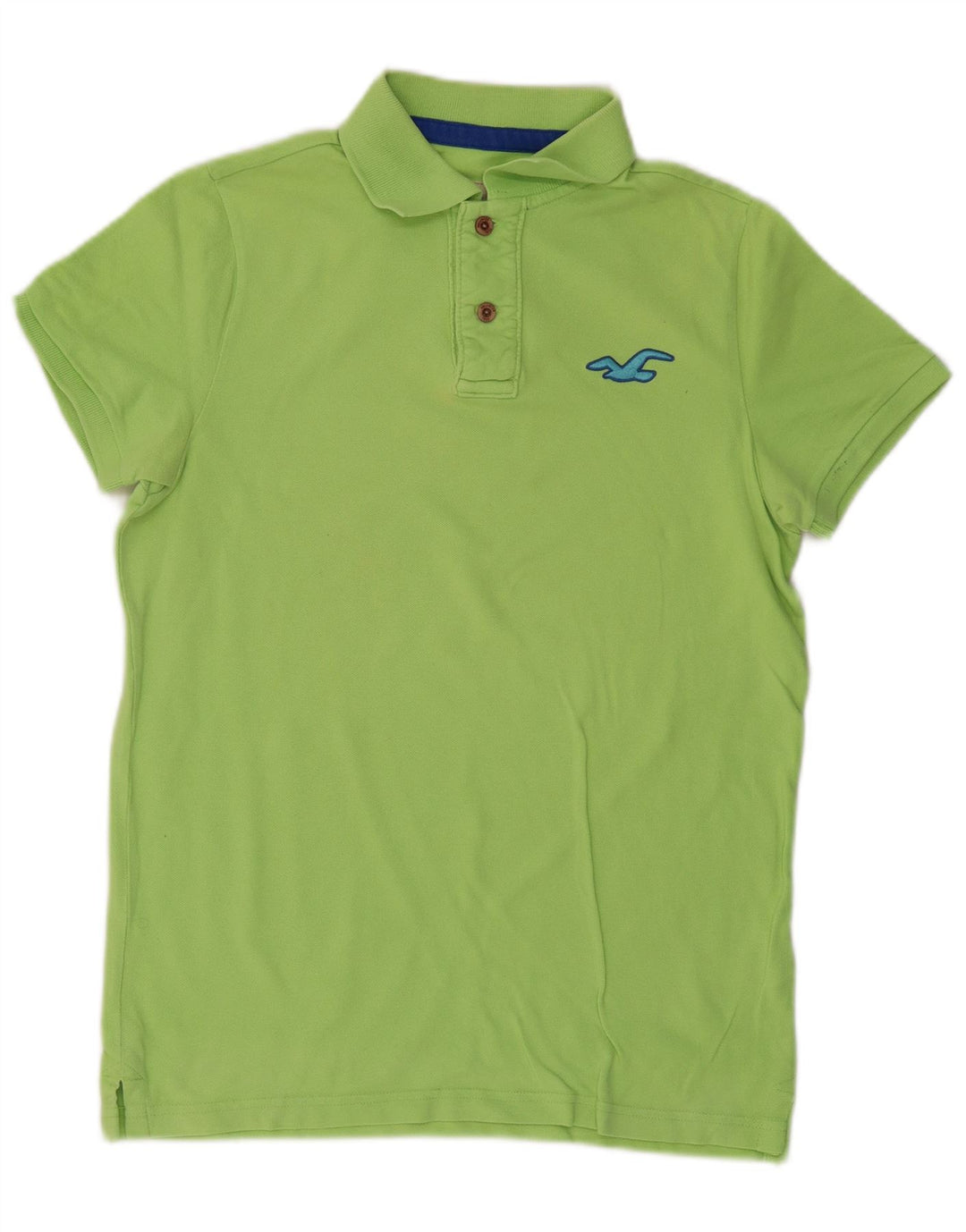 Polo da uomo HOLLISTER in cotone verde medio