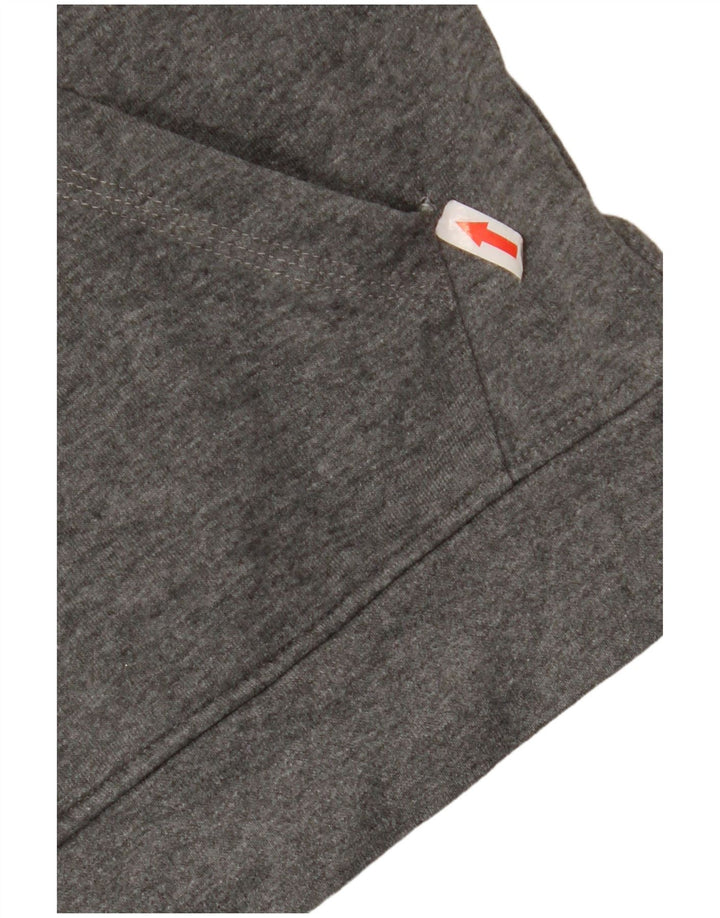 Felpa con cappuccio grafica da uomo Asics piccola in cotone grigio