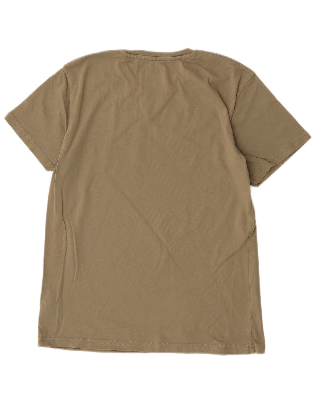 T-shirt grafica da uomo Alpha Industries Top piccola in cotone kaki