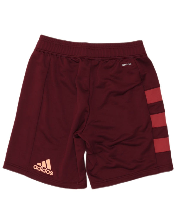 Pantaloncini sportivi da rugby ADIDAS Munster da uomo, poliestere color block medio marrone