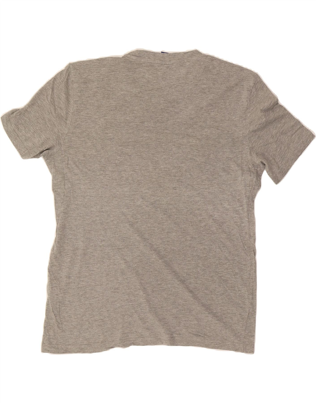 CHAMPION Mens Graphic T-Shirt Top Large Grey Cotton Vintage Champion and Second-Hand Champion from Messina Hembry 