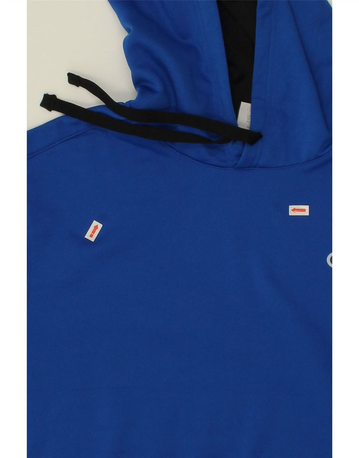 CHAMPION Mens Hoodie Jumper Large Blue Polyester Vintage Champion and Second-Hand Champion from Messina Hembry 