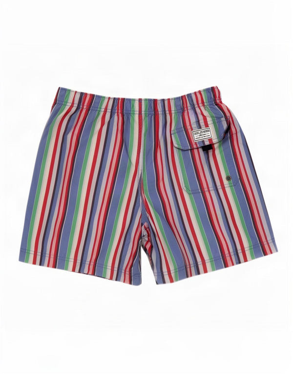 Pantaloncini da bagno da uomo Tommy Hilfiger grandi in poliestere a righe multicolori