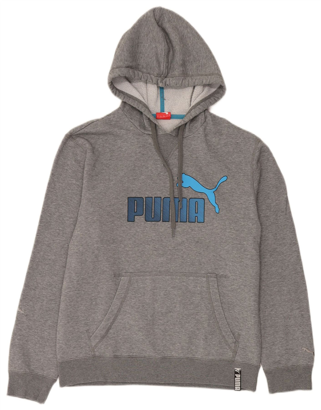 Felpa con cappuccio grafica da uomo Puma Grigio medio