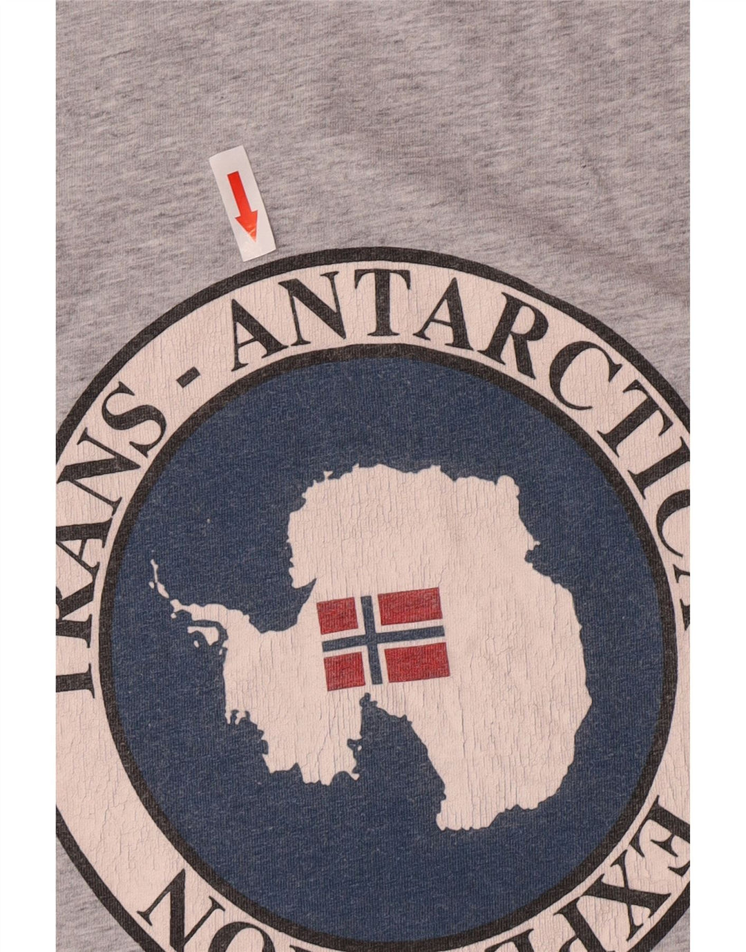 T-shirt grafica da uomo Napapijri Top in cotone grigio medio