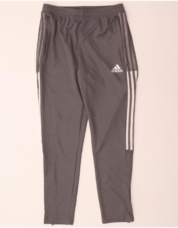Pantaloni da tuta ADIDAS Aeroready da uomo Grigio medio