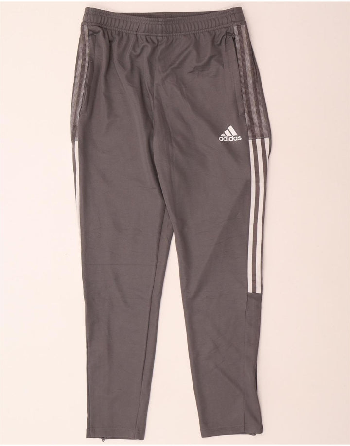 Pantaloni da tuta ADIDAS Aeroready da uomo Grigio medio