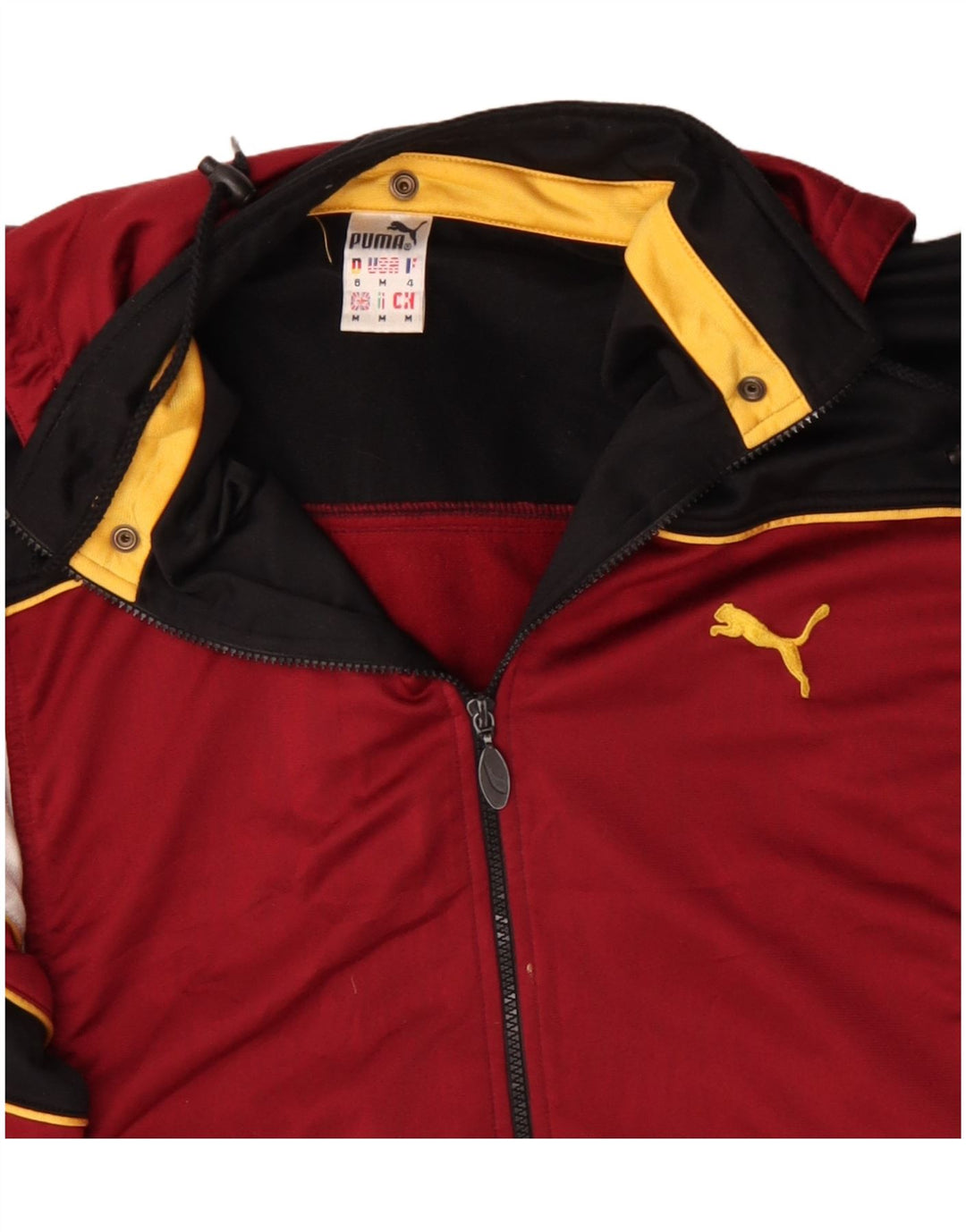 Giacca sportiva da uomo con cappuccio grafico Puma, colore bordeaux medio