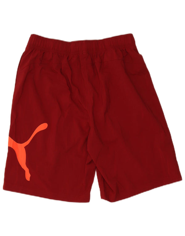 Pantaloncini sportivi grafici da uomo Puma grandi in poliestere bordeaux