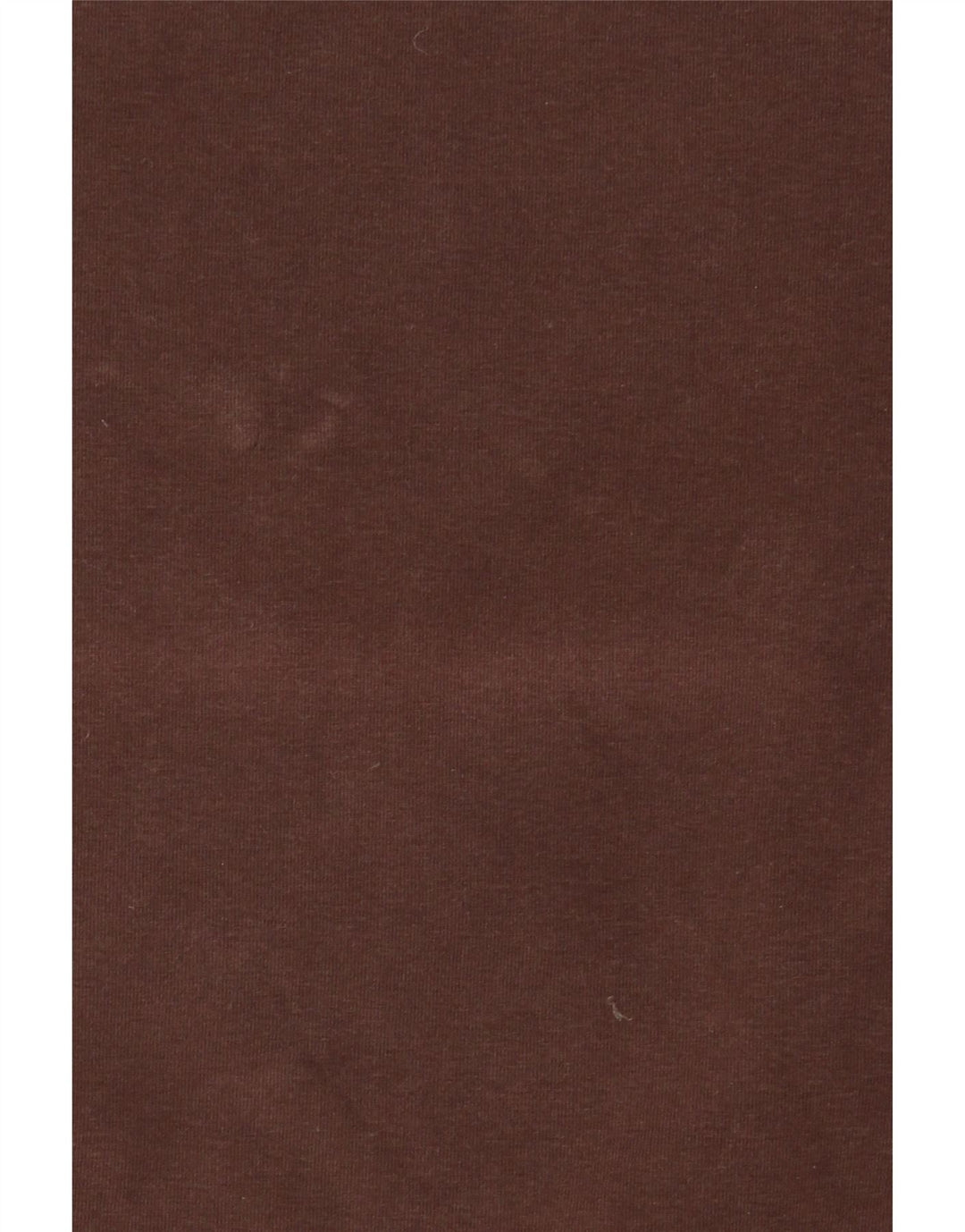 MASSIMO DUTTI T-shirt da donna Top UK 14 Large Marrone Cotone