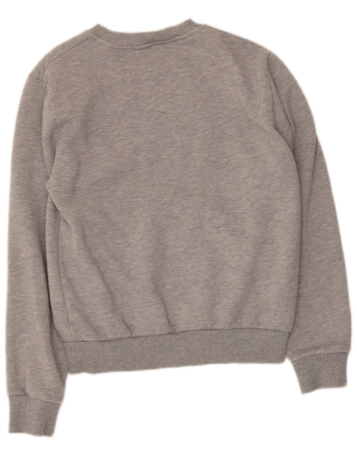 Felpa grafica da uomo Penguin Maglione piccolo cotone grigio