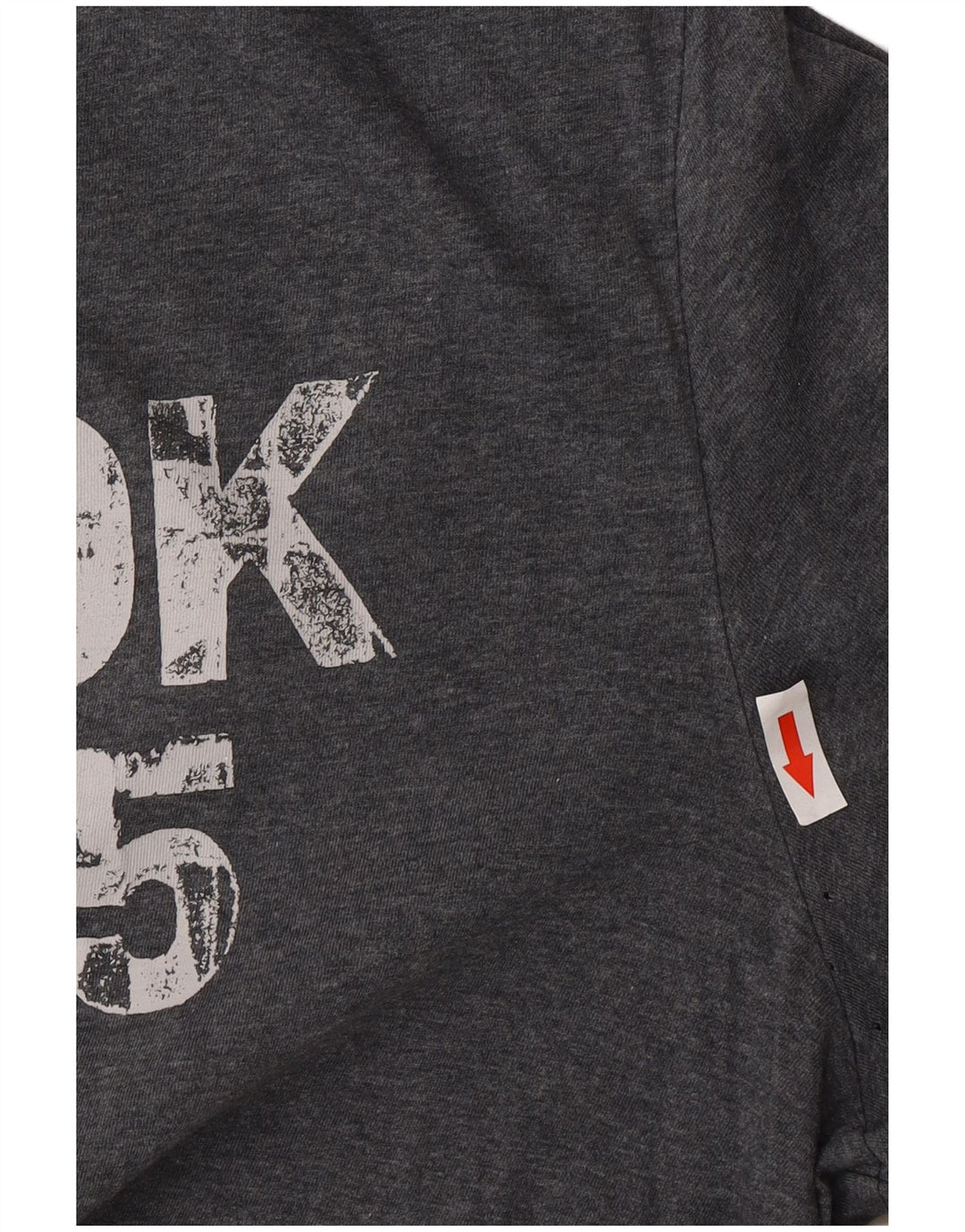T-shirt grafica Reebok da uomo grande grigia
