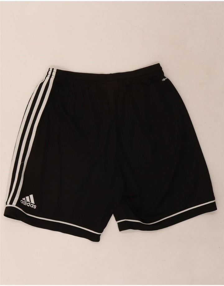 Pantaloncini sportivi Adidas Climalite da uomo grandi in poliestere nero