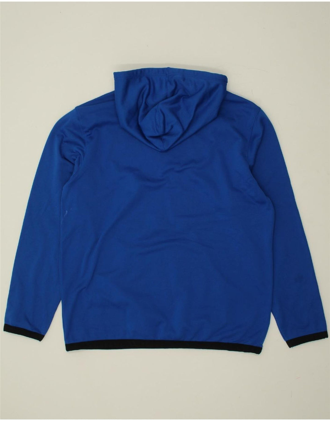 CHAMPION Mens Hoodie Jumper Large Blue Polyester Vintage Champion and Second-Hand Champion from Messina Hembry 