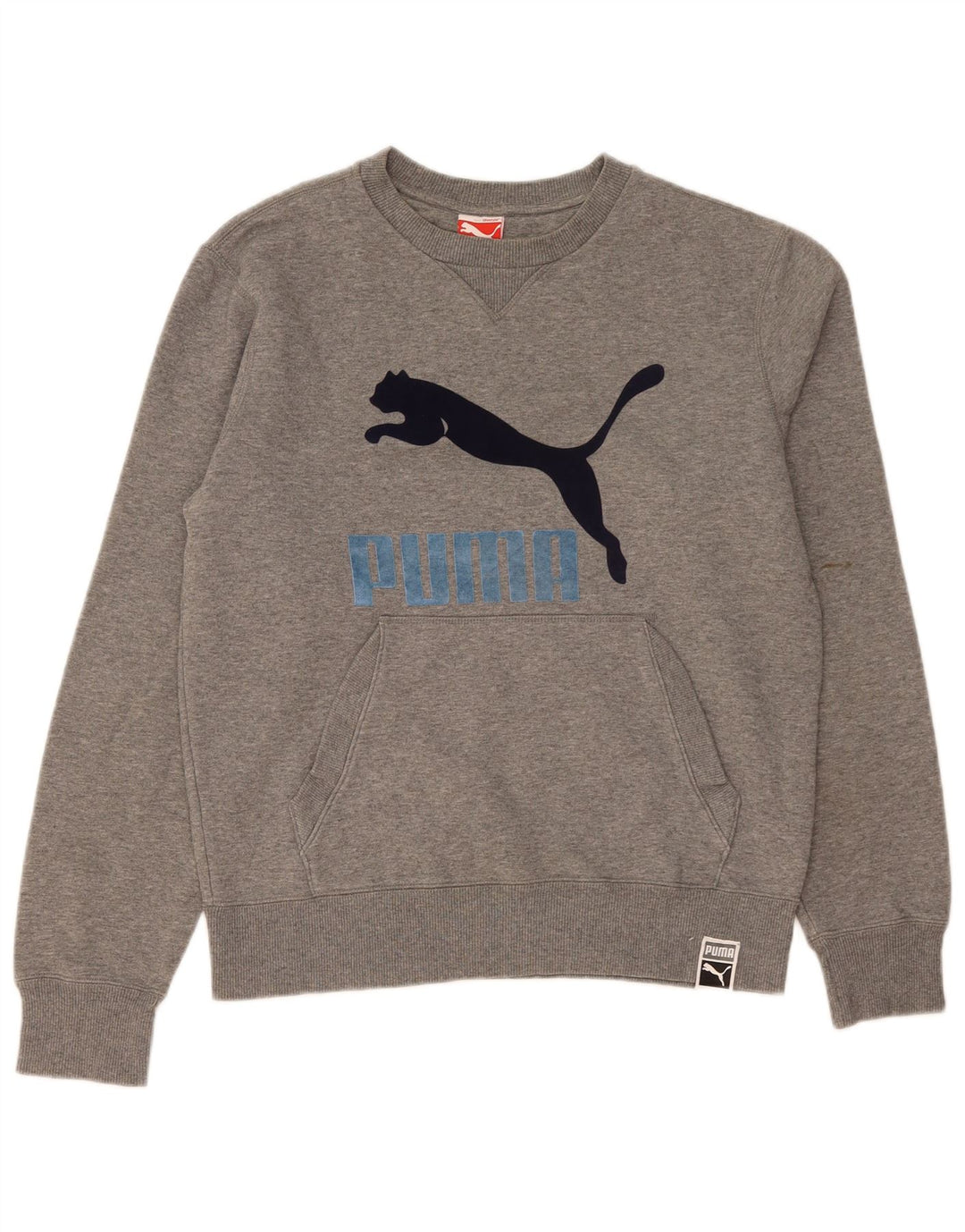 Felpa grafica da uomo Puma Maglione grigio medio chiazzato