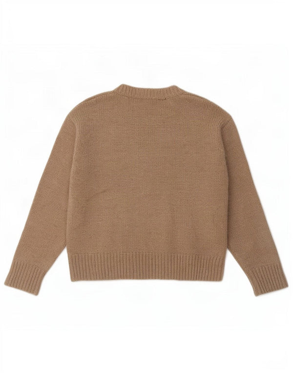 Maglione maglione girocollo oversize da donna Zara UK 10 piccolo poliestere marrone