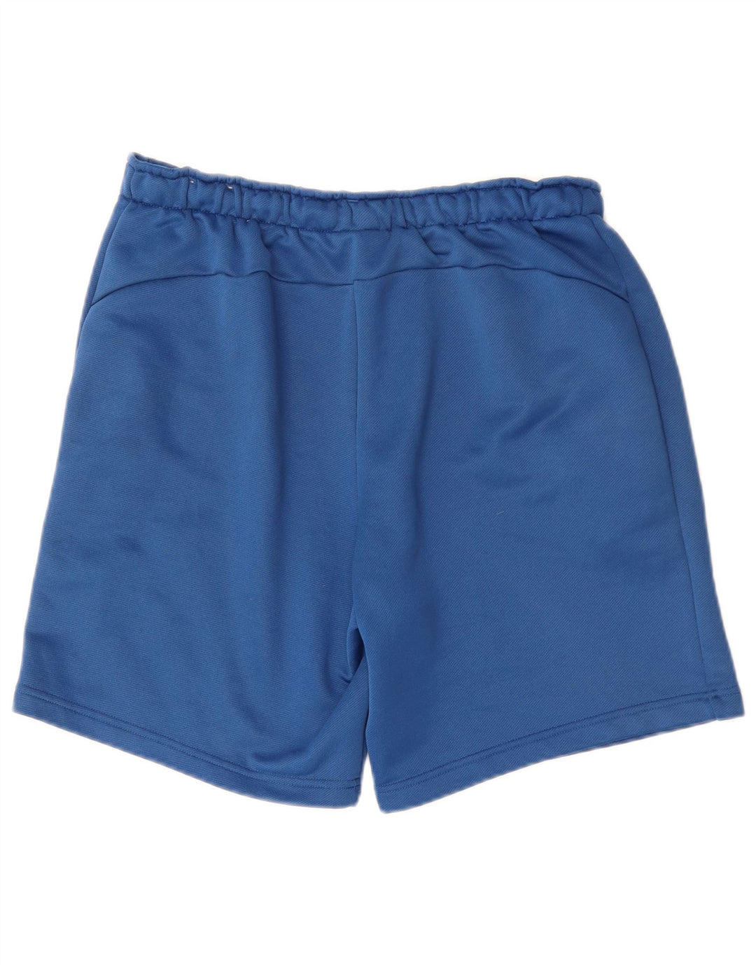 Pantaloncini sportivi grafici da uomo Puma grandi blu