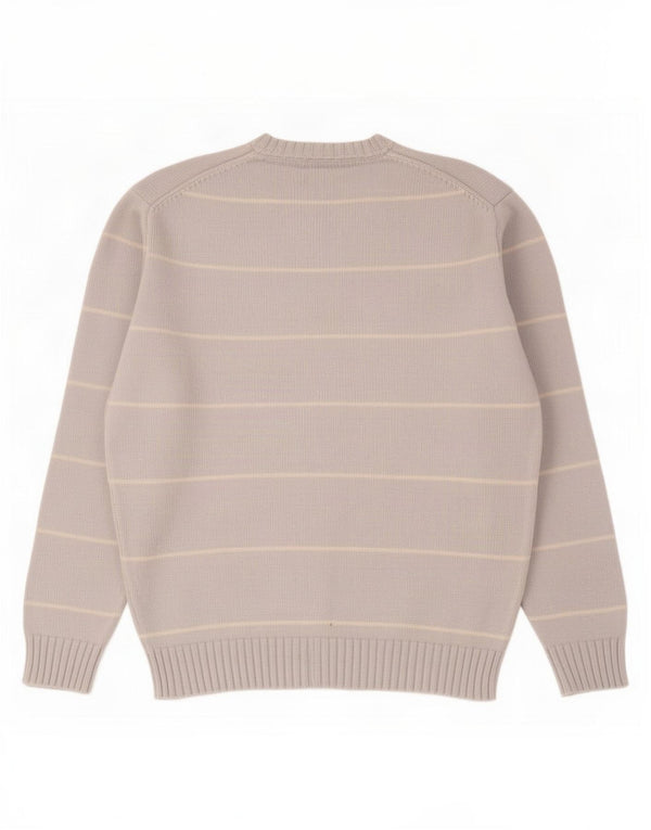 Maglione Zara da uomo con scollo a V XL a righe blu