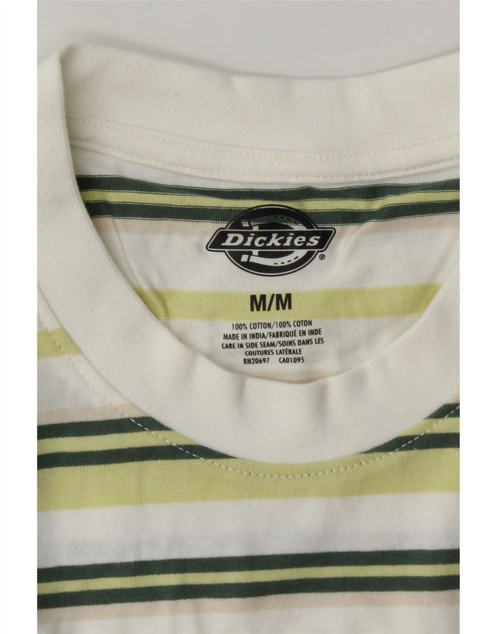 Dickies T-shirt da uomo Top in cotone a righe verde medio