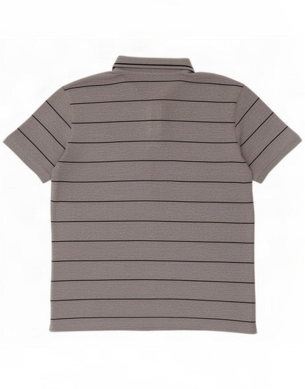 Carrera Polo da uomo grande a righe grigie