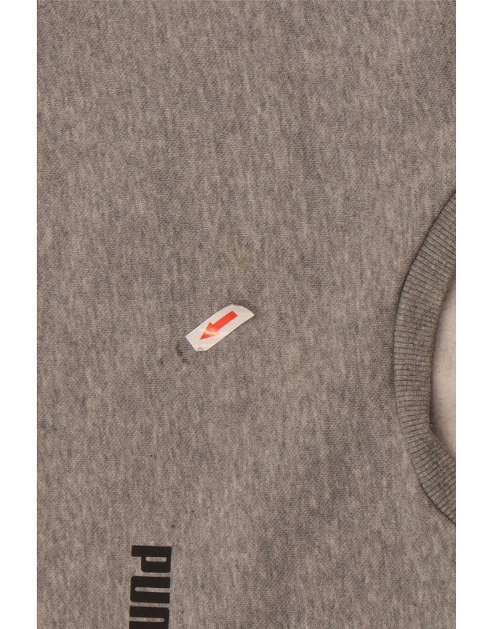 Felpa da uomo Puma Maglione piccolo grigio screziato