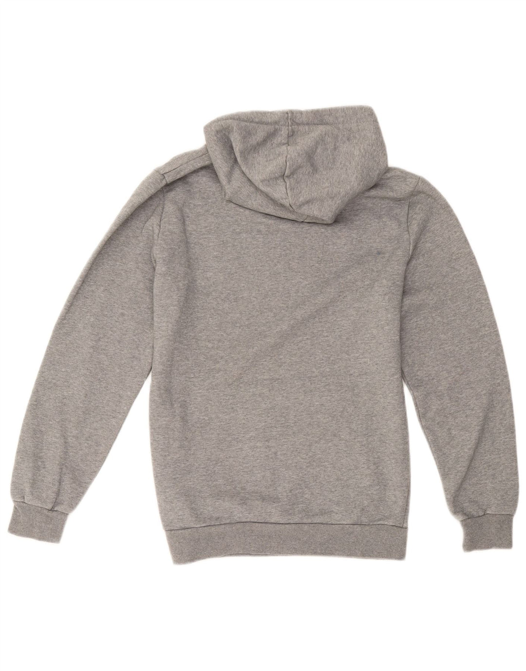 Felpa con cappuccio grafica da uomo Puma piccola in cotone grigio