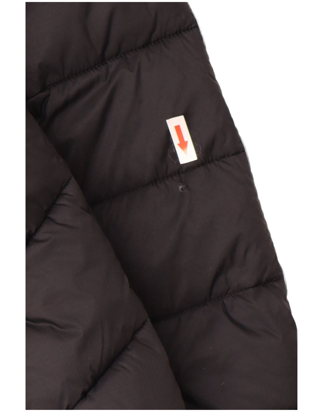 Giacca imbottita con cappuccio grafico da donna Champion UK 14 Medium Nero Poliammide