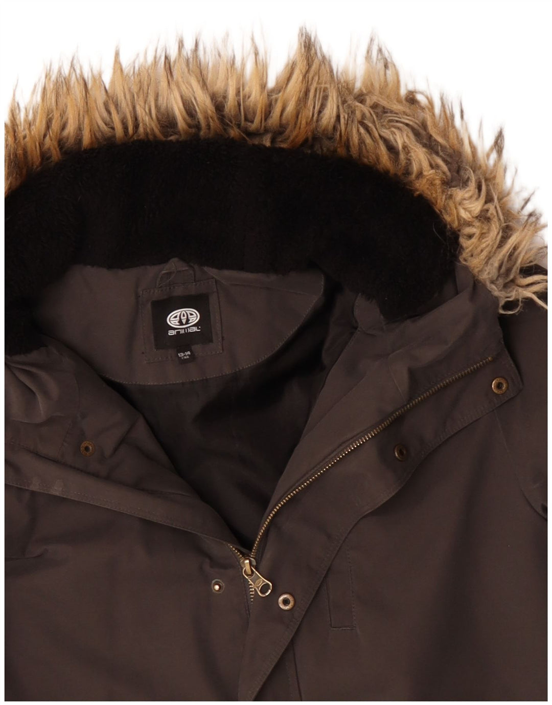 Parka con cappuccio Animal Boys 13-14 anni Grigio