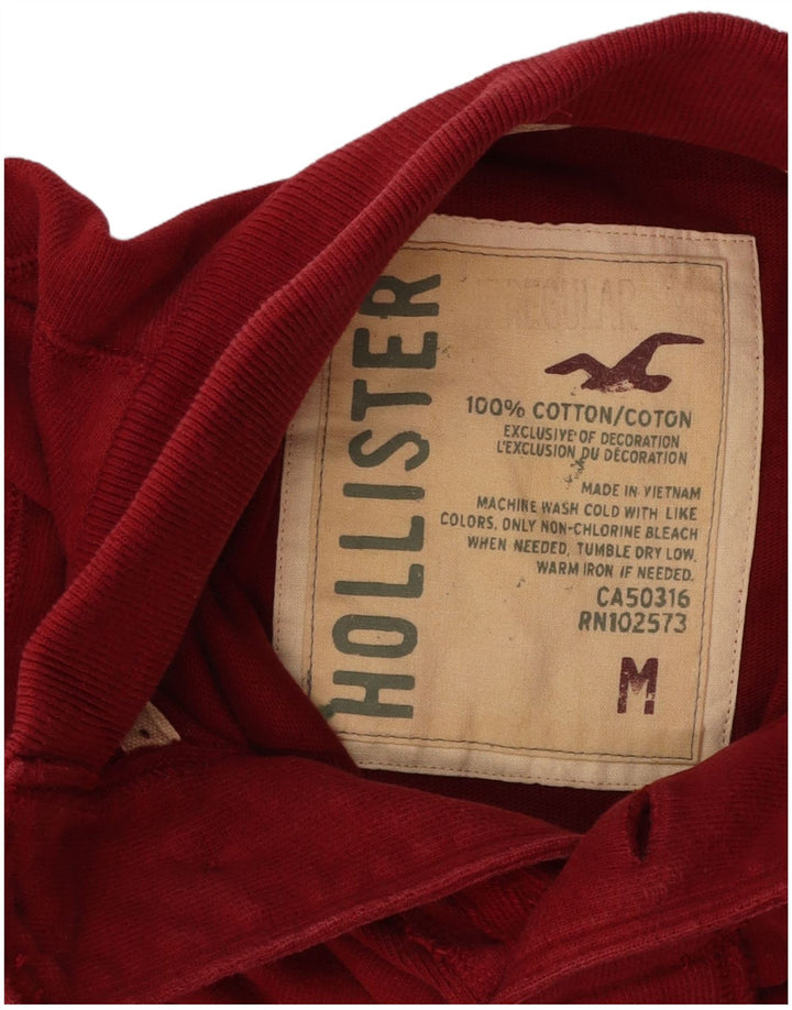 Felpa Hollister da uomo con collo con bottoni grafici, maglione, cotone rosso medio