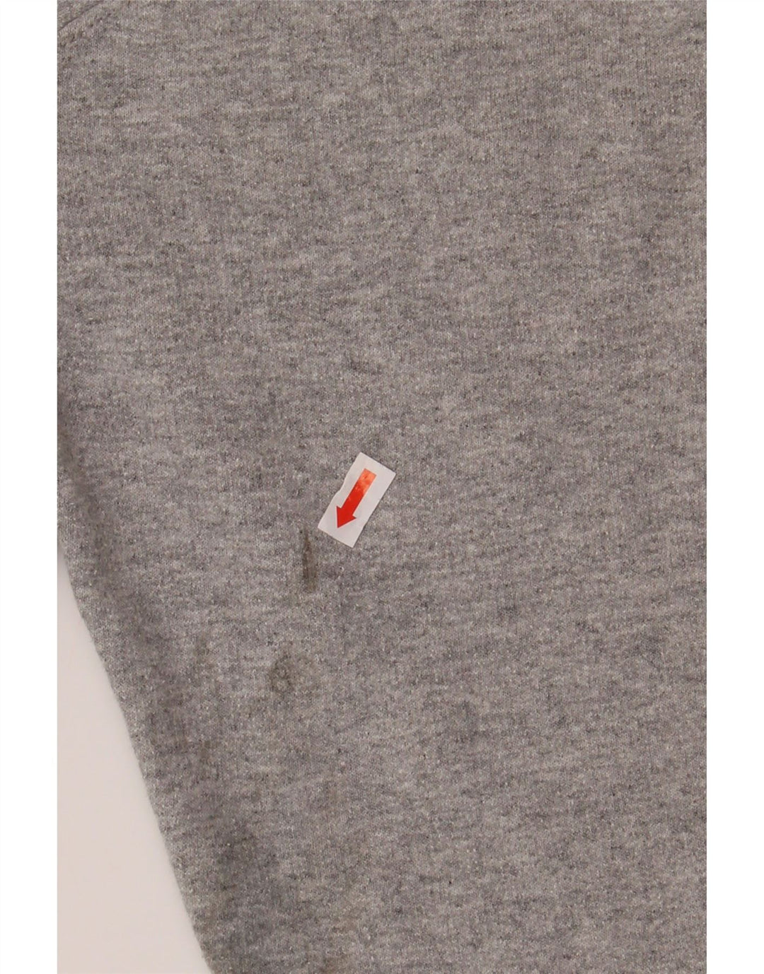 CHAMPION Mens Graphic Hoodie Jumper Large Grey Cotton Vintage Champion and Second-Hand Champion from Messina Hembry 