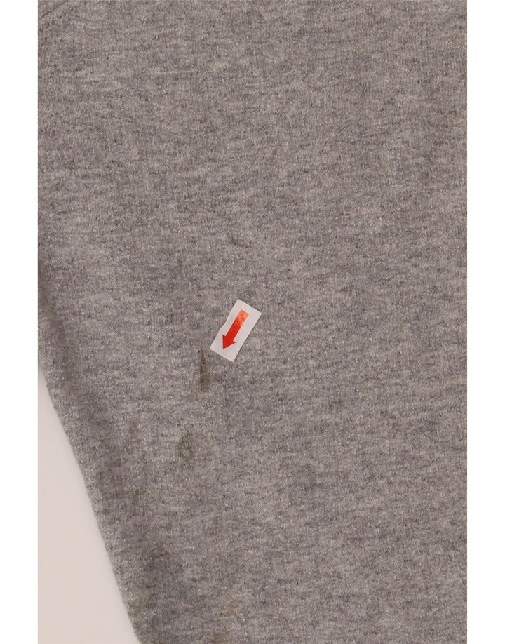 CHAMPION Mens Graphic Hoodie Jumper Large Grey Cotton Vintage Champion and Second-Hand Champion from Messina Hembry 