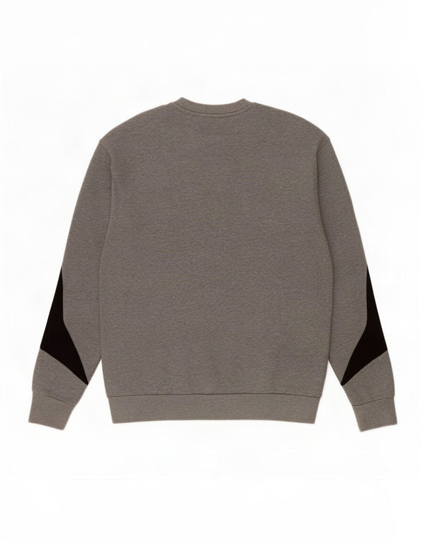 Felpa grafica da uomo Emporio Armani, color block grigio medio