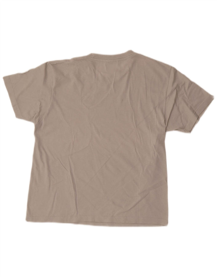 T-shirt grafica da uomo Champion Top piccola grigia